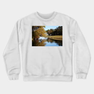 Tree Reflection Crewneck Sweatshirt